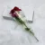G6-red-rose-scaled-1.webp Shirt Gift Package